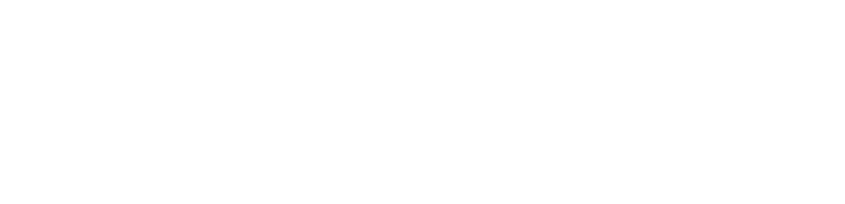 Parbo Auto